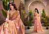 Kiri Silk By Rajpath Tissue Silk Party Wear Saree Wholesale Price In Surat